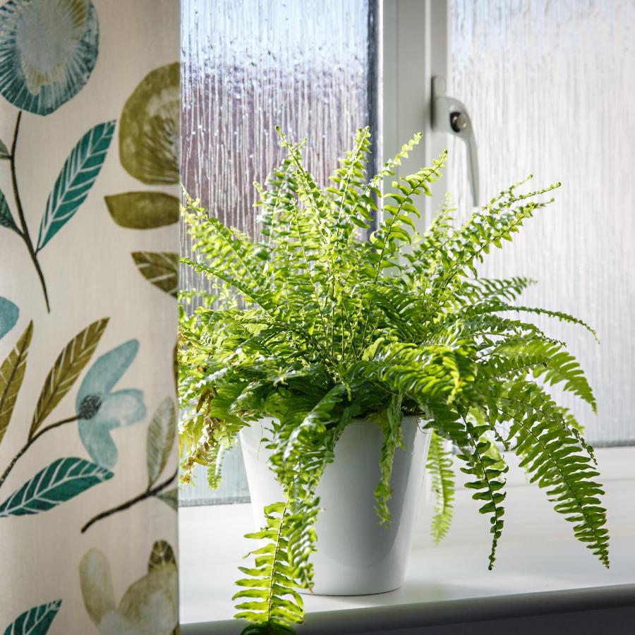 Chestnut Cottage Felbrigg Luaran gambar